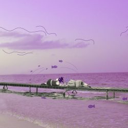 Señoras • playa II