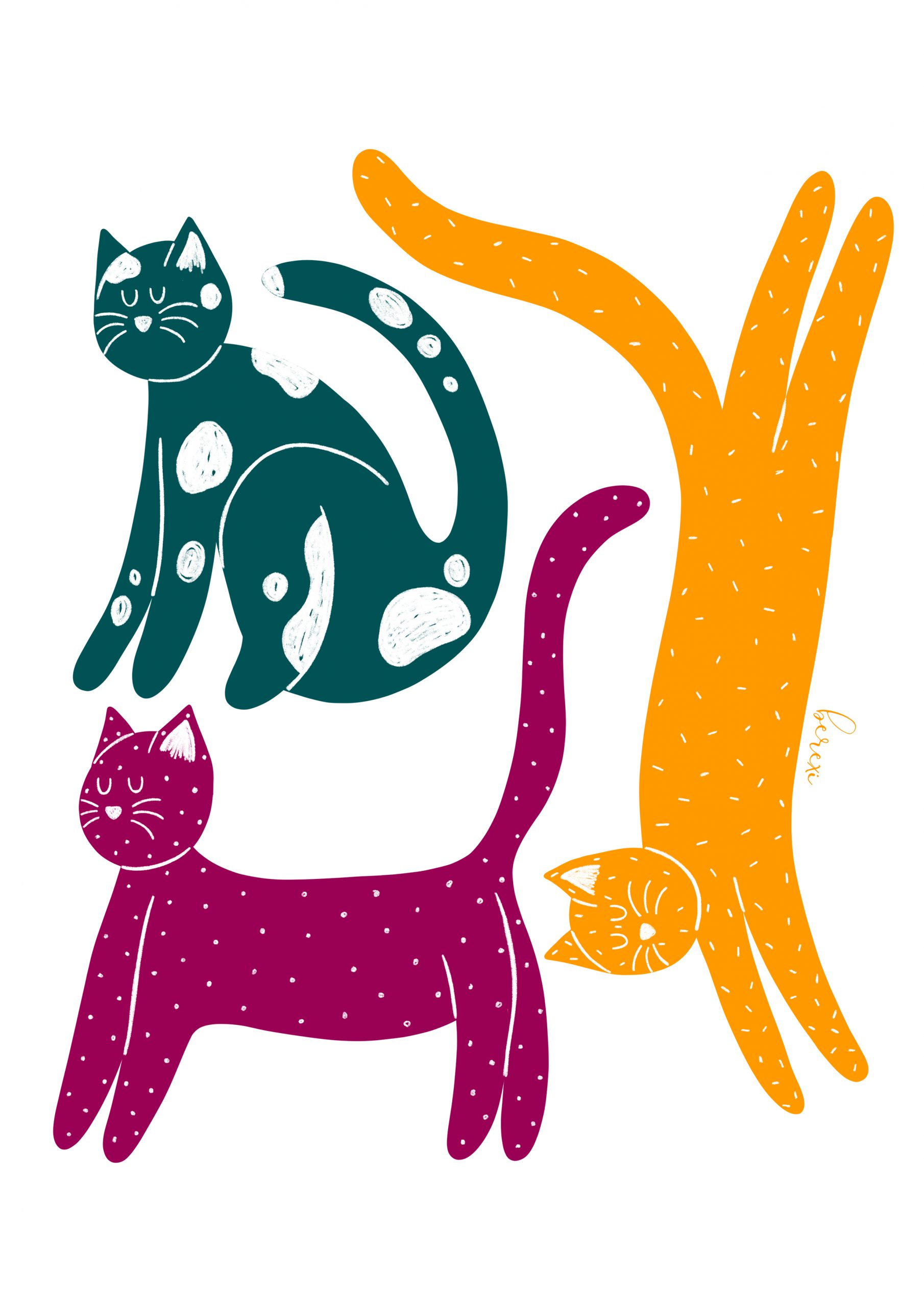 KATUAK • adultes - Imagen 2