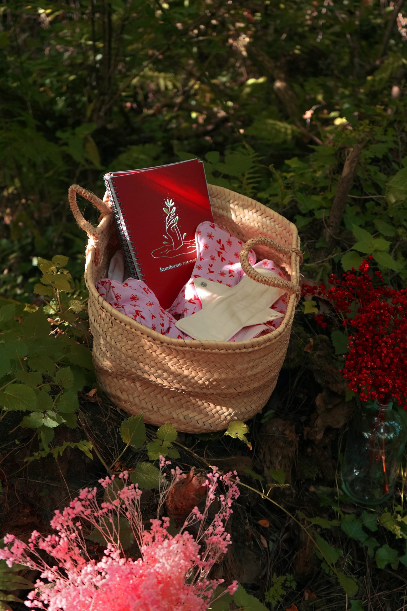 Telazko konpresak - Image 2