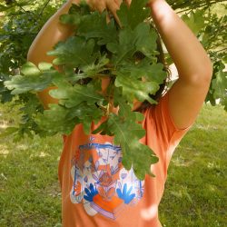 LIBURUA • kamiseta haurrak